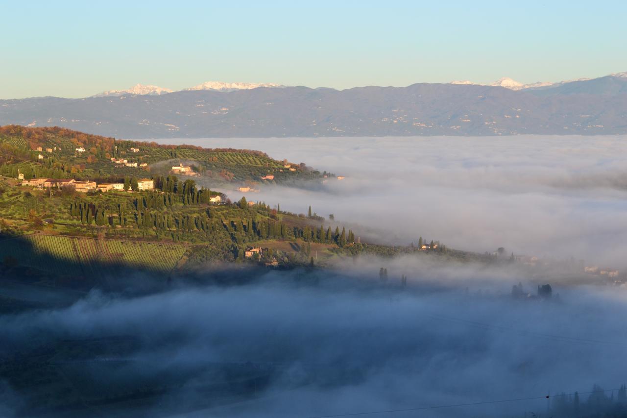Seano Tenuta Di Capezzana B&B 외부 사진