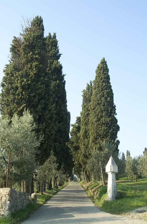 Seano Tenuta Di Capezzana B&B 외부 사진
