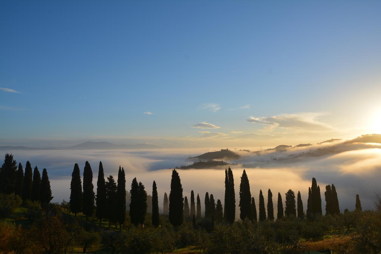 Seano Tenuta Di Capezzana B&B 외부 사진